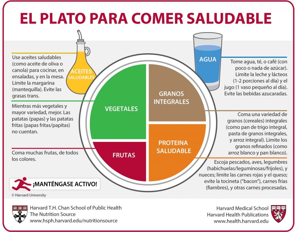 plato de la alimentacion saludable de harvard